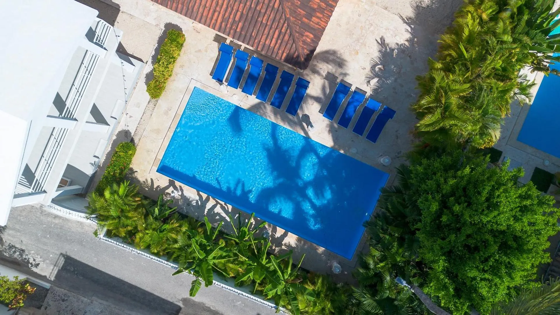 Huge 8-Bedroom Beach Villa With Private Pool - Los Corales Villas 푼타 카나